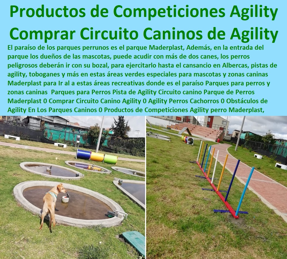 Parques para Perros Pista de Agility Circuito canino Parque de Perros Maderplast 0 Comprar Circuito Canino Agility 0 Agility Perros Cachorros 0 Obstáculos de Agility En Los Parques Caninos 0 Productos de Competiciones Agility perro Parques para Perros Pista de Agility Circuito canino Parque de Perros Maderplast 0 Comprar Circuito Canino Agility 0 Agility Perros Cachorros 0 Agility De Perros, Pistas De Adiestramiento, Caninos Para Perros, Equipo De Agility Para Perros, Cunas Y Parideras Para Perros, Parques Para Perros, Corrales Para Perros, Jaulas cuidado de perros, Casas Para Perros Y Mascotas, Obstáculos de Agility En Los Parques Caninos 0 Productos de Competiciones Agility perro